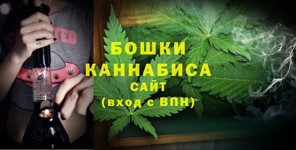 прущая мука Горняк