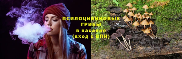 прущая мука Горняк