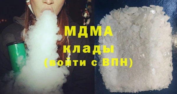 молекула духа Вяземский